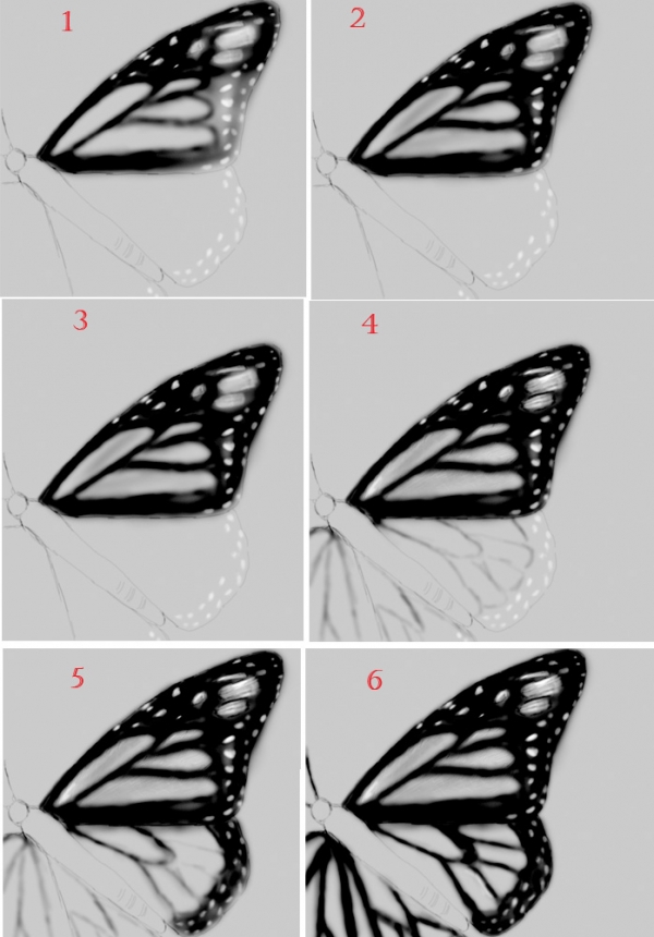 Creation of Monarch Butterfly: Step 3